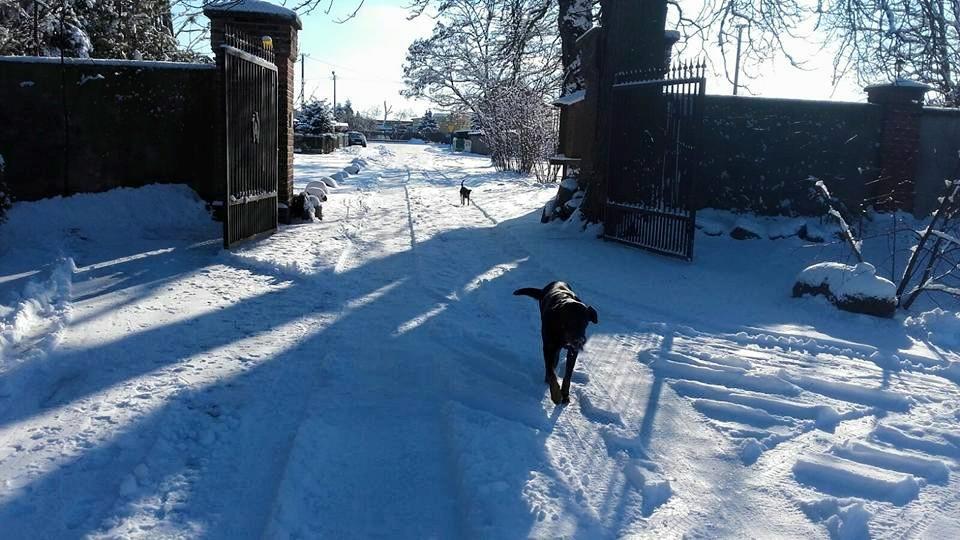 Hotel Stara Stajnia Pleszew Kültér fotó